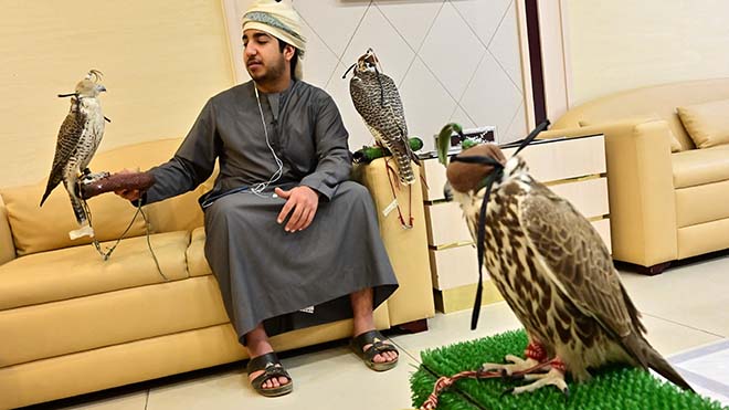 مالك الصقر ينتظر مع طيوره الجارحة في غرفة الاستقبال في مستشفى أبوظبي للصقور